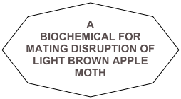 &#10;A &#10;BIOCHEMICAL FOR MATING DISRUPTION OF&#10;LIGHT BROWN APPLE MOTH 